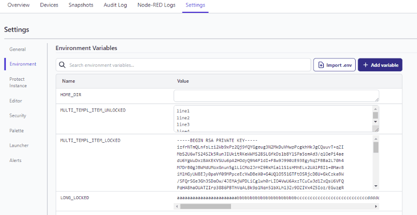 Screenshot showing the "Environment Variables" table in the Instance's Settings